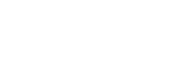Bora Logo