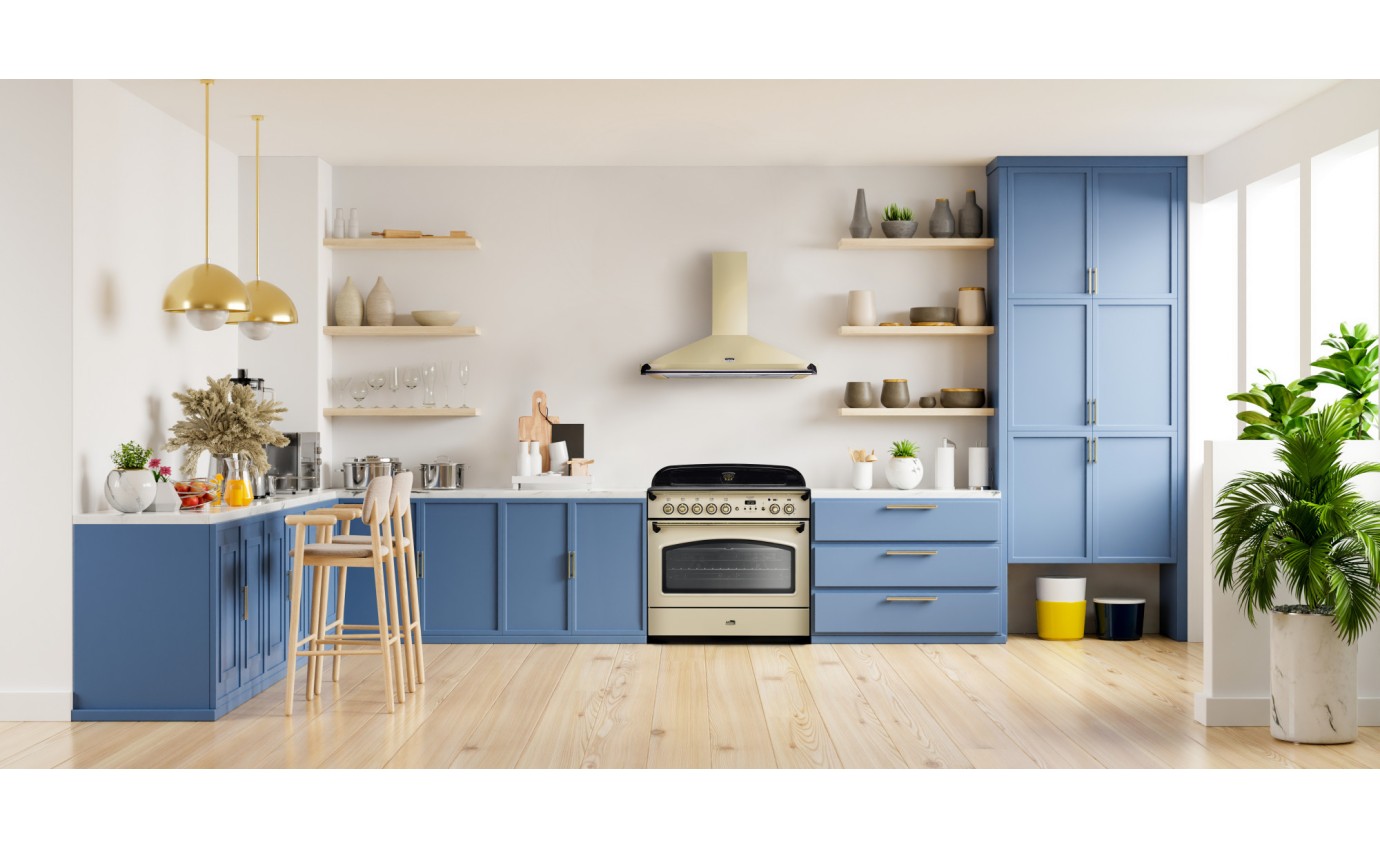 Falcon 90cm Induction Range Cooker CLA90FXEICRBR