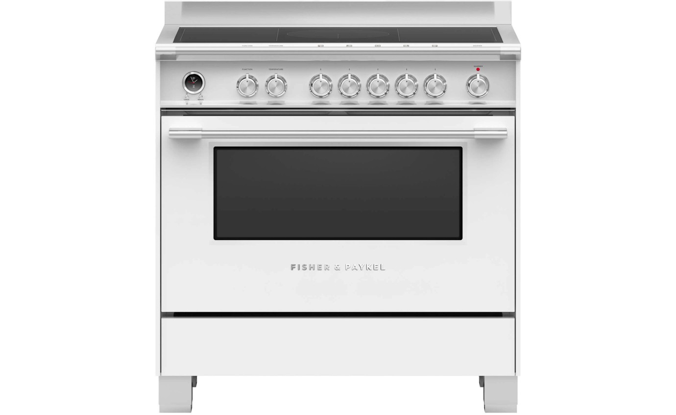 Induction upright cooker online